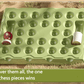 Tiere & Früchte Flip-Brettspiel