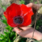 🌼Handgefertigter Metall Blumen-Gartenstecker🐦Vogeltränke & Insekten-Trinkstelle, Wetterfest Gartendekoration für Beet, Wege & Außenbereich, Einzigartiges Deko Geschenk