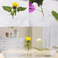 🎄🎁Perfektes Geschenk für Pflanzenliebhaber🌷2025 Kreativer schwebender Blumenarrangementhalter