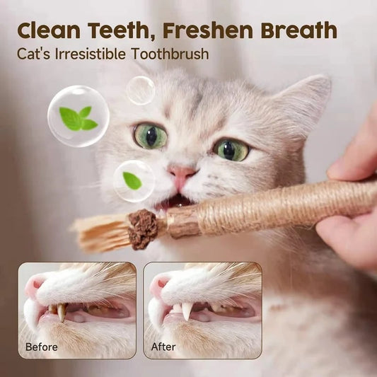 🐶🐱 Natürlicher Silberwein-Katzenkaustab
