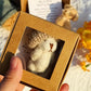 🔥Letzter Tag 50% Rabatt🎁Handgemachter Mini-Plüsch-Teddybär in Box🧸