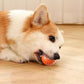 Hot Sale 50% Rabatt🎁Smart Pet Bounce Interaktiver Ball🐶