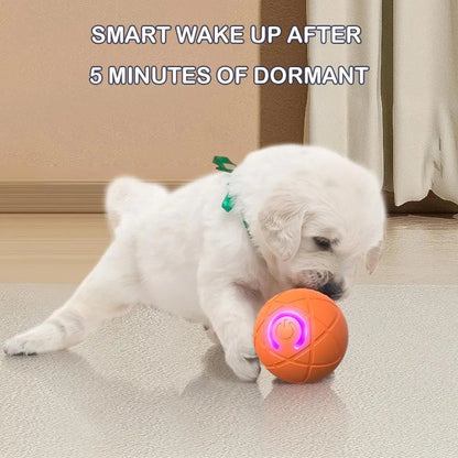 Hot Sale 50% Rabatt🎁Smart Pet Bounce Interaktiver Ball🐶