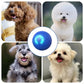 Hot Sale 50% Rabatt🎁Smart Pet Bounce Interaktiver Ball🐶