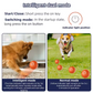 Hot Sale 50% Rabatt🎁Smart Pet Bounce Interaktiver Ball🐶