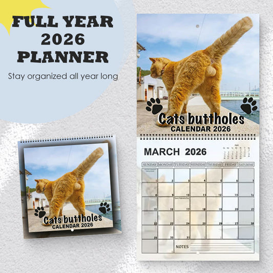 Lustiger Katzen-Wandkalender 2026