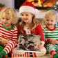 🎄Christmas Sale 50% Rabatt🎉Adventskalender mit Hochlandrind-Design
