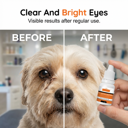 🐾👁️50% RABATT💥Sanfte Reinigungs-Augentropfen für Haustiere – schonend, effektiv & einfach anzuwenden✨