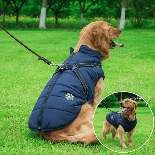 Wasserdichte Warme Winter-Hundejacke mit integriertem Geschirr