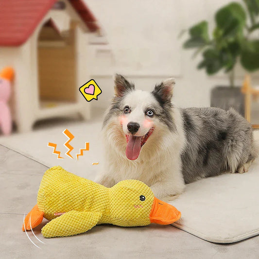 Quack-Quack Ente Hundespielzeug