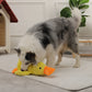 Quack-Quack Ente Hundespielzeug