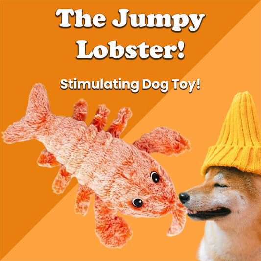 🔥 Floppy Lobster Interaktives Hundespielzeug 🚀